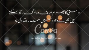 22 friendship quotes in urdu 