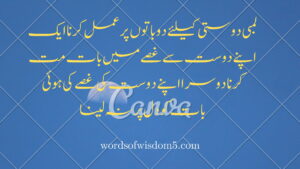 22 friendship quotes in urdu 
