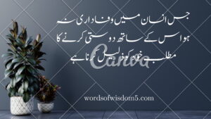 22 friendship quotes in urdu 