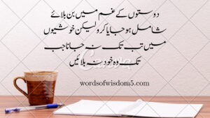 22 friendship quotes in urdu 