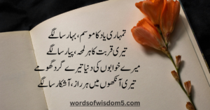 love poetry in urdu