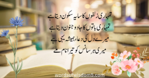 love poetry in urdu