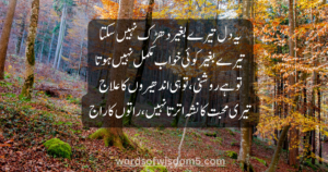 love poetry in urdu