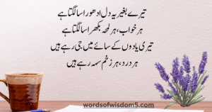 love poetry in urdu